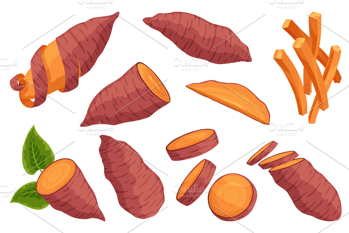 Sweet potato batata set. Vegatable, a Food Illustration by the8monkey