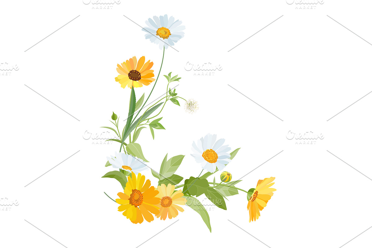 Vector object brushes. Calendula, a Brush Add-On by Peolla (Photo 13 of 16)