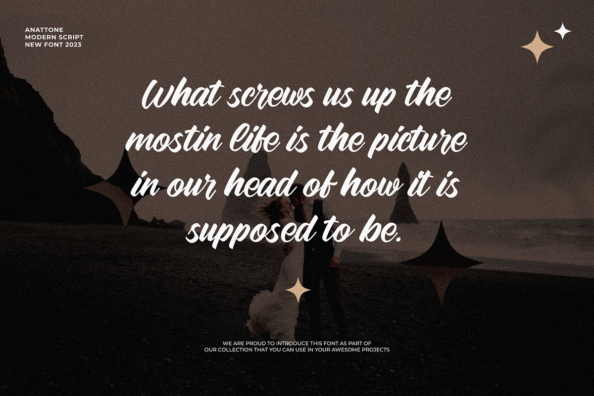 Anattone - Modern Script Font, a Script Font by Lettermine (Photo 5 of 9)
