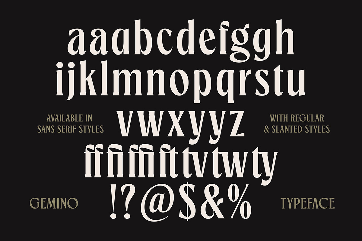 TNSC Gemino - Sans & Serif Typeface, a Serif Font by The Native Saint Club (Photo 14 of 14)