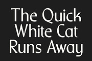 CS Riposte – Modern Sans Serif, a Sans Serif Font by Craft Supply Co. (Thumbnail 2 of 8)