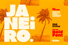 Janeiro - Vintage Bold Font