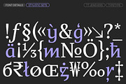 TT Jenevers, a Serif Font by TypeType (Thumbnail 15 of 15)