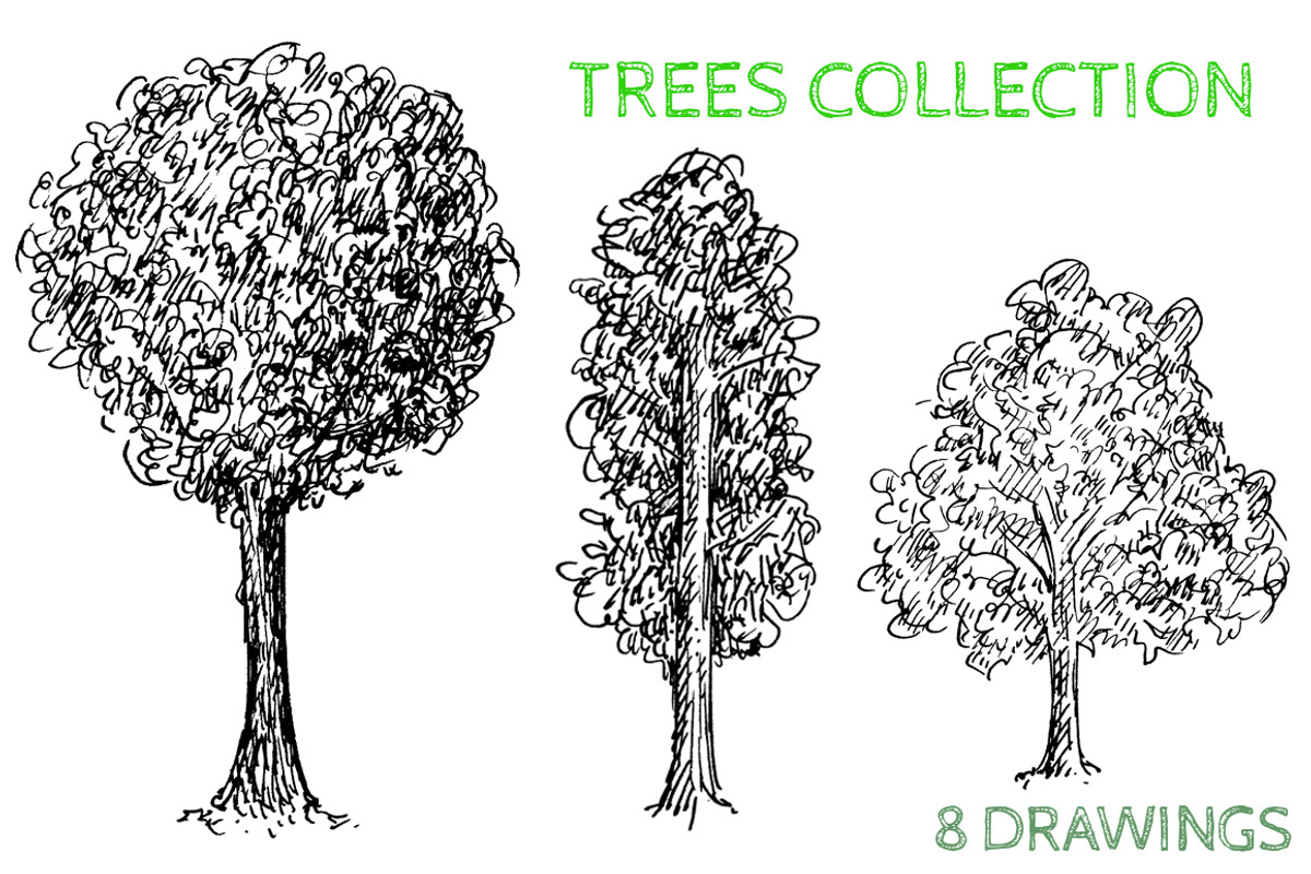 Hand Drawn Trees, an Object Graphic by Eugenia Hauss Design (Photo 1 of 3)