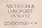 Glorya Modern Stylish, a Sans Serif Font by Say Studio (Thumbnail 16 of 25)