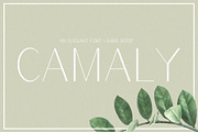 Camaly | san serif, a Sans Serif Font by white supply (Thumbnail 1 of 5)