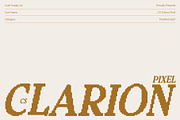 CS Clarion Pixel, a Serif Font by Craft Supply Co. (Thumbnail 1 of 8)