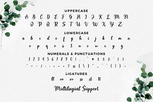 Matteny Angels Script Font