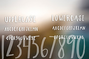Farmers Market, a Sans Serif Font by OnTheSpotStudio (Thumbnail 3 of 3)