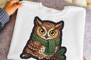 Cozy Winter Owl PNG, an Object Illustration by DreamCafeArt (Thumbnail 6 of 6)