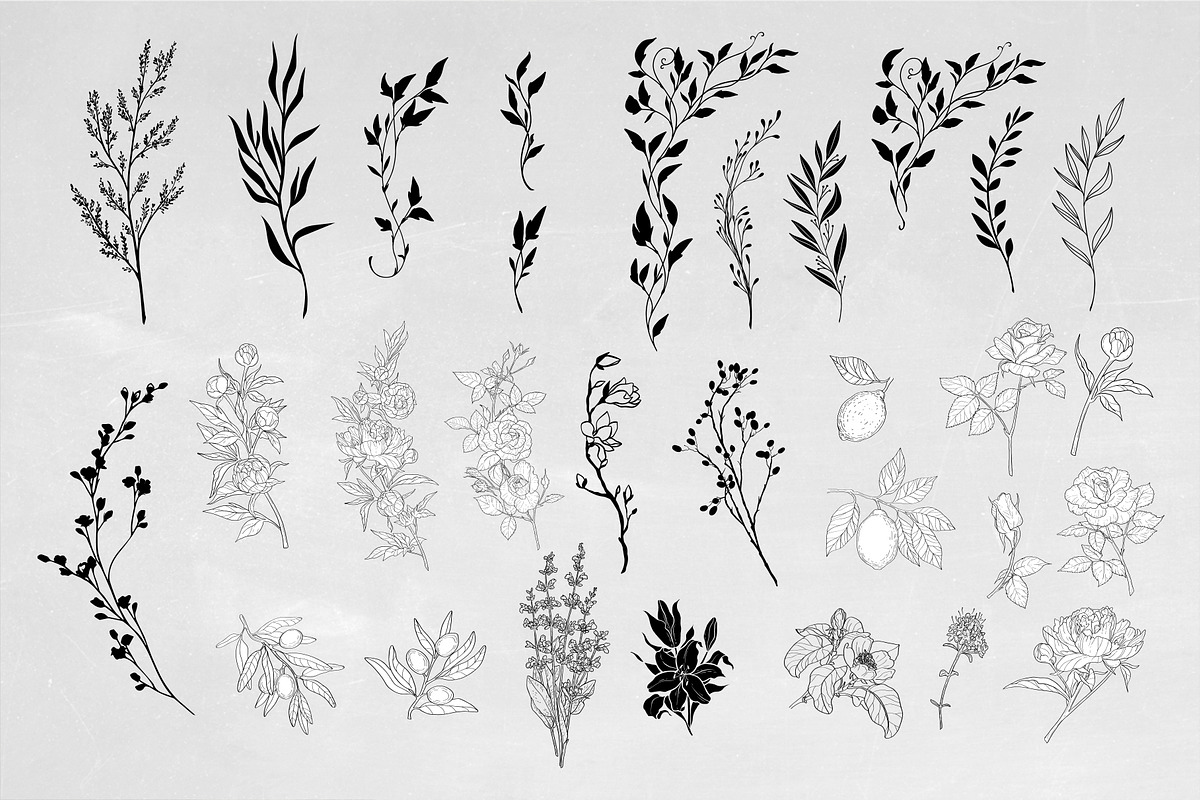Wedding Invitations collection, an Invitation Template by Garden in frame (Photo 6 of 8)