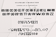 Holiday, a Serif Font by InermediaSTUDIO (Thumbnail 6 of 7)