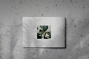 GREENY Lookbook Brochure Template, a Brochure Template by Indotitas (Thumbnail 9 of 9)