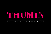 Thidik Font, a Serif Font by brahamb_design (Thumbnail 2 of 4)