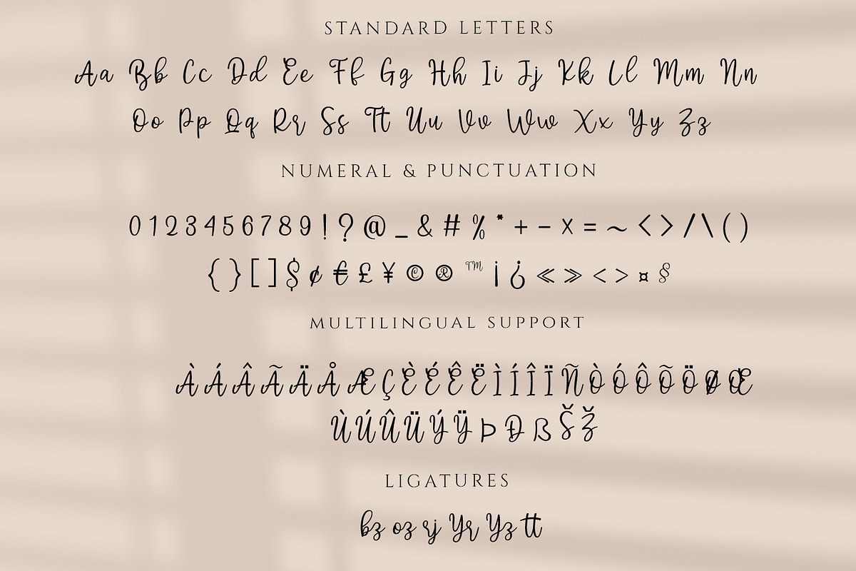 Dichigan - Modern Calligraphy Script, a Script Font by Motokiwo (Photo 10 of 11)
