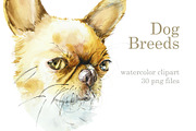 Watercolor dogs. Different Breeds, an Animal Illustration by Budogoshch (Thumbnail 1 of 6)