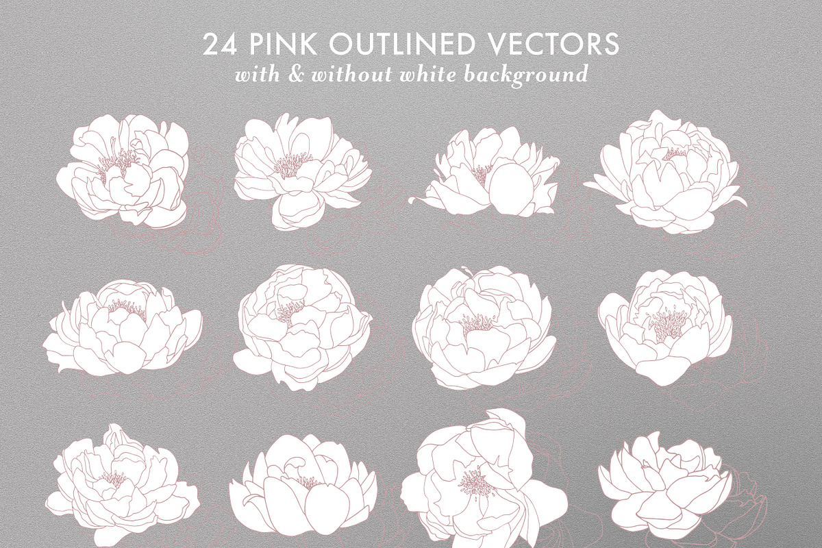 Outlined & Watercolor Peonies, an Illustration by sarahnuzum (Photo 3 of 6)