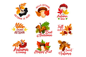 Autumn Leaf, Acorn, Berry, Mushroom