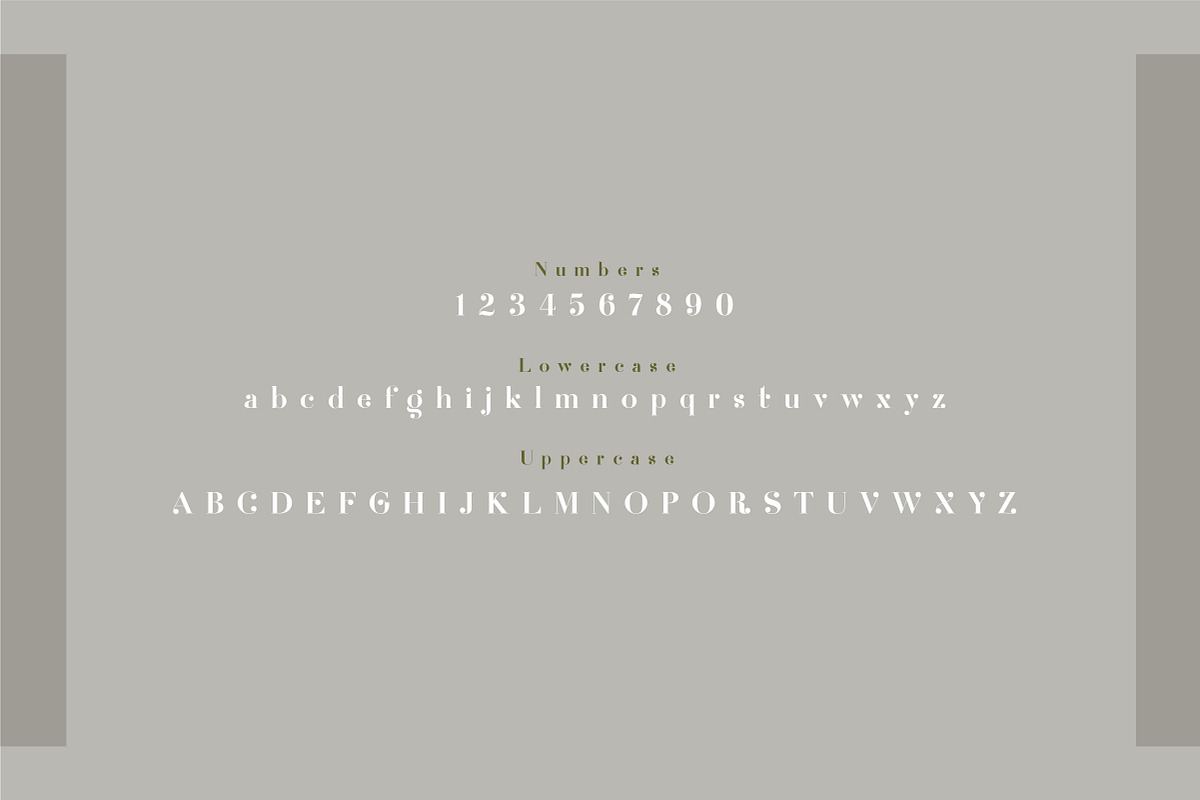 Afregky, a Serif Font by geengraphy (Photo 3 of 4)
