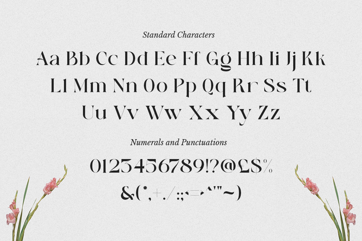 Heart Breaker - Classy Elegant Serif, a Serif Font by Sohel Studio (Photo 9 of 10)