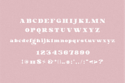 Perfectly Romantic, a Serif Font by Typegoals Studio (Thumbnail 7 of 8)