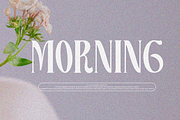 Valeris, a Serif Font by zaaintype (Thumbnail 5 of 11)