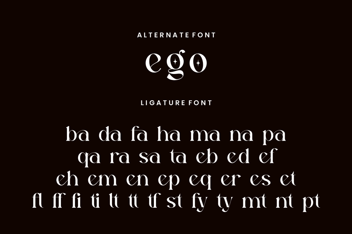 Atfagis - Modern Serif Font, a Serif Font by QR Design Studio (Photo 9 of 14)