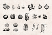 Vegetables Engravings Set, an Object Graphic by Graphic Goods (Thumbnail 4 of 6)