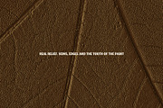 Embossed Leaf Autumn Backgrounds, a Background Graphic by Anzhelika (Thumbnail 4 of 12)
