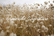 Slimty Fagkrey, a Handwritten Font by HaKi Studio (Thumbnail 4 of 7)