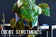 Little Jungle Image Bundle 3, a Nature Photo by Lum3n (Thumbnail 2 of 3)
