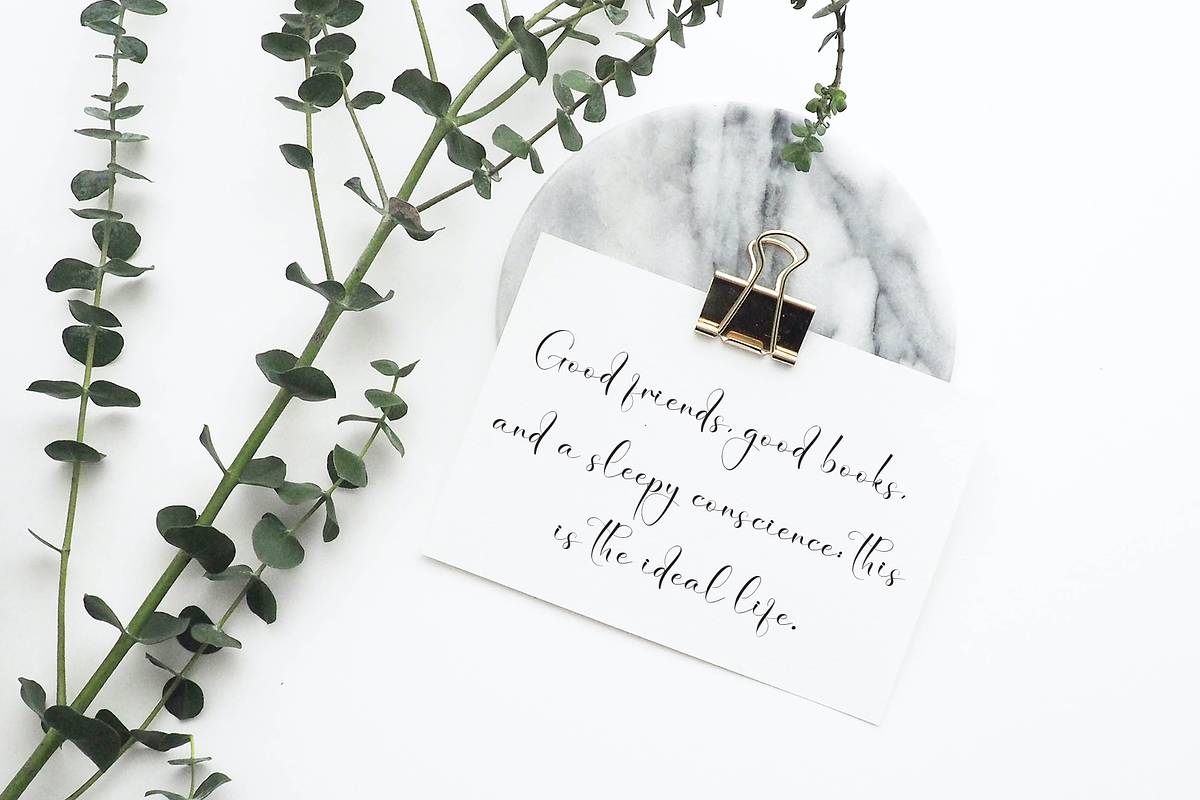 Zanitha Signature | Script Font, a Handwritten Font by Scratchones (Photo 4 of 8)