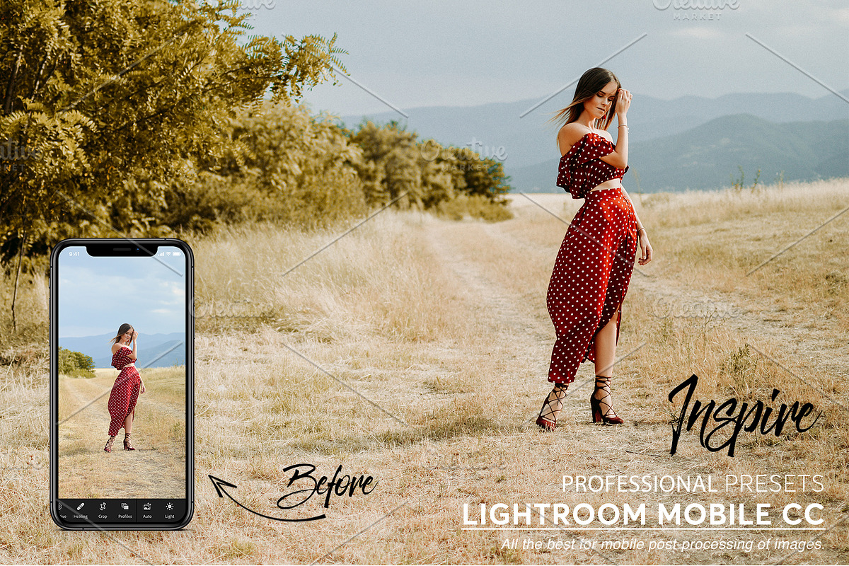 Lightroom Mobile Presets preview 2