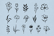 Hand Drawn Ink Botanical Elements, a Decorative Illustration by Irina Ostapenko (Thumbnail 6 of 10)