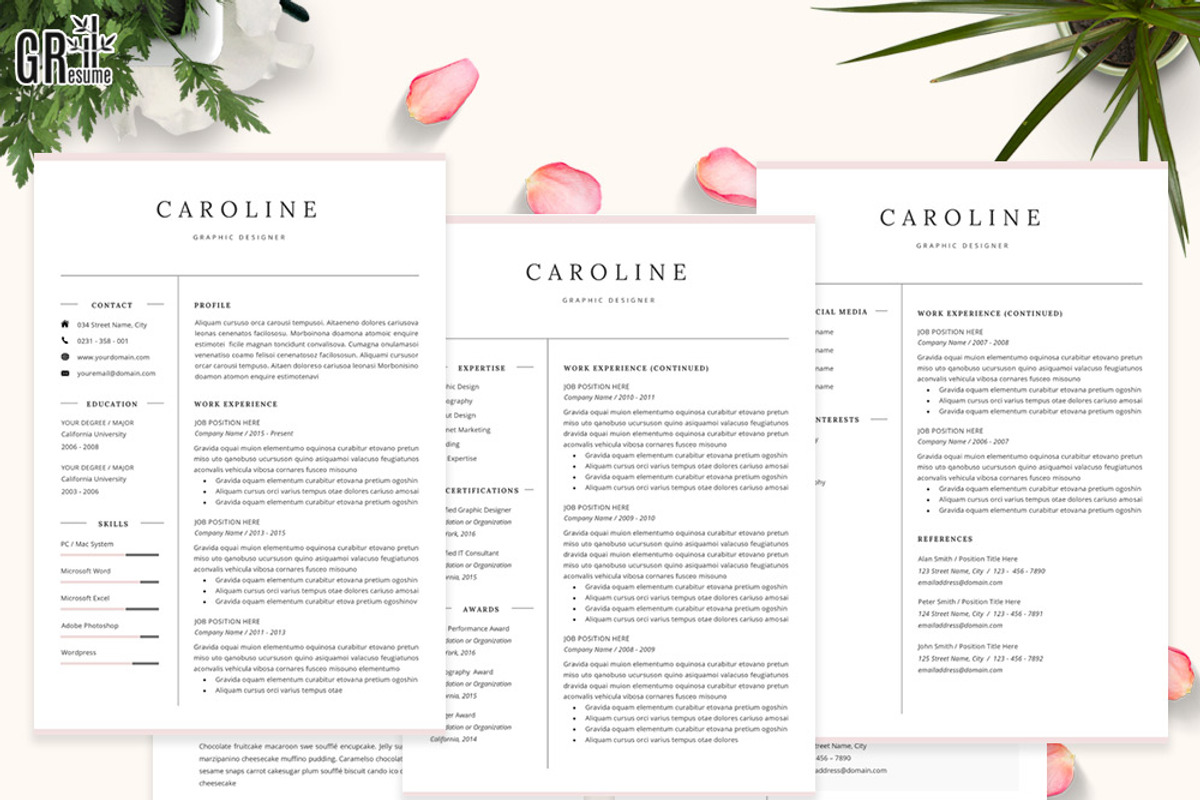 Professional Resume/CV Template, a Resume Template by GResume (Photo 4 of 9)