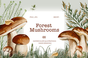 Mushrooms watercolor clip art