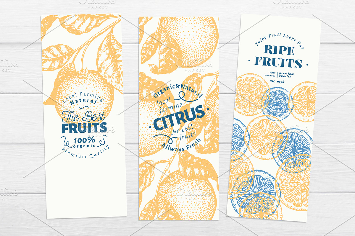 Citrus Vector  Collection, a Food Illustration by Lubov Illustrations Shop (Photo 4 of 5)