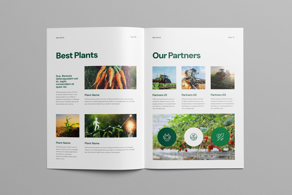 Agriculture Brochure Template, a Brochure Template by Pixelpick (Photo 2 of 9)