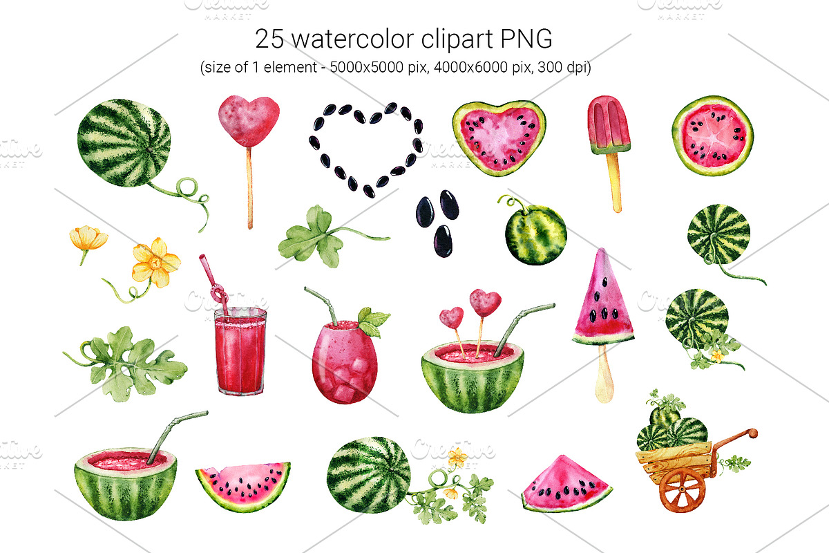 Juicy watermelon, watercolor summer, a Food Illustration by Artmanata (Photo 2 of 12)