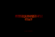 NORTHERN PARLIAMENT, a Serif Font by Eli Shore Productions (Thumbnail 9 of 9)