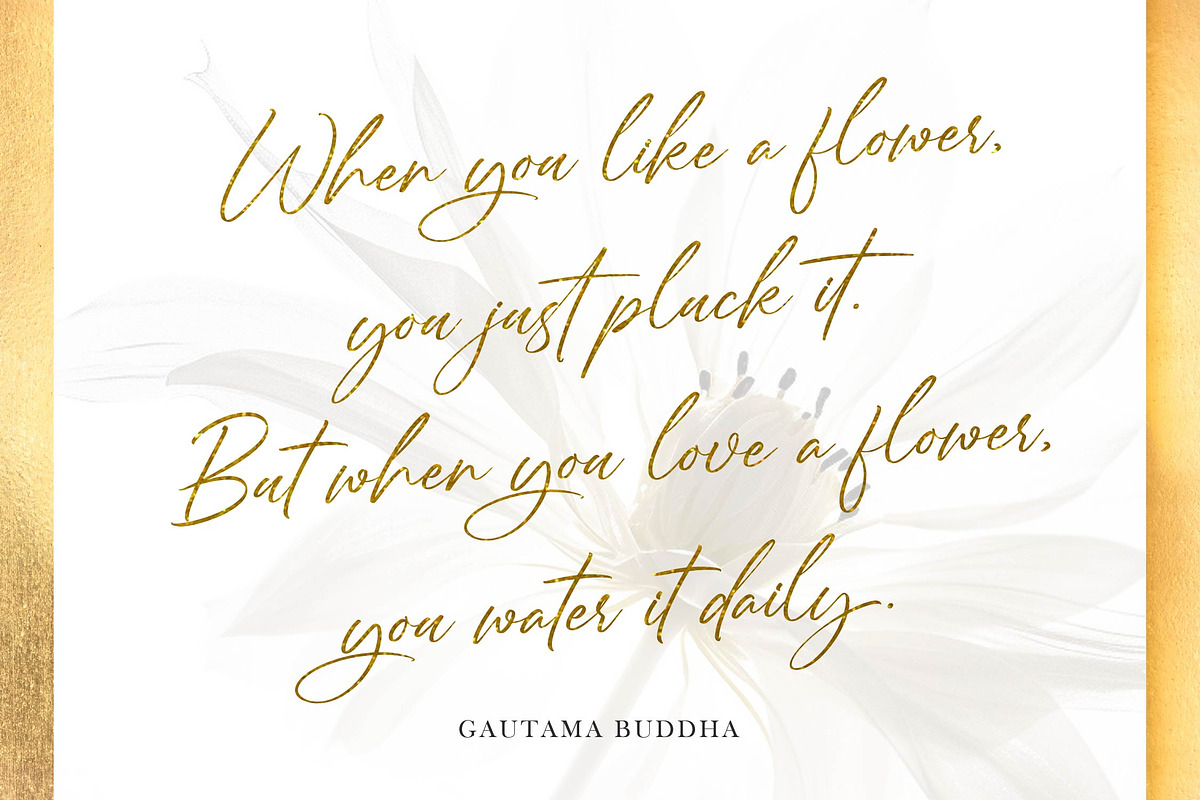 Grading Royal - Stylish Calligraphy, a Script Font by Graha Type (Photo 2 of 12)