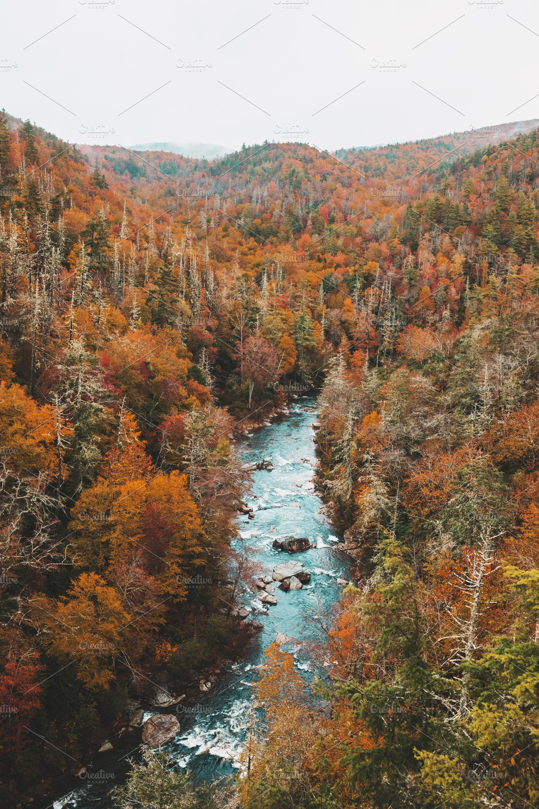 Linville gorge wilderness stock photo containing linville and linville gorge, a Nature Photo by AlyssaKayeGraham