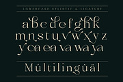 Reglani - Elegant Minimalist Serif, a Serif Font by Luna Shop (Thumbnail 8 of 11)