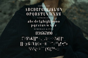 Wingfead Modern Serif Font, a Serif Font by Storytype Studio (Thumbnail 13 of 15)