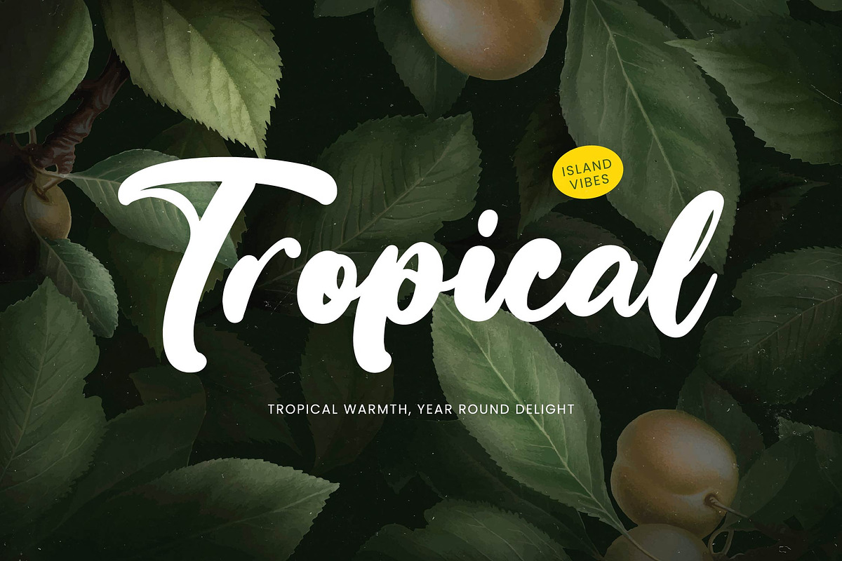 Bumble Ritual Bold Handwritten Font, a Script Font by Letterena Studios Script (Photo 4 of 20)