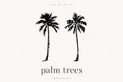 Palm Trees, an Object Illustration by PeDe Designs (Thumbnail 4 of 9)