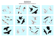 Bird Overlays Photoshop, a Plug-in Add-On by FixThePhoto (Thumbnail 2 of 32)