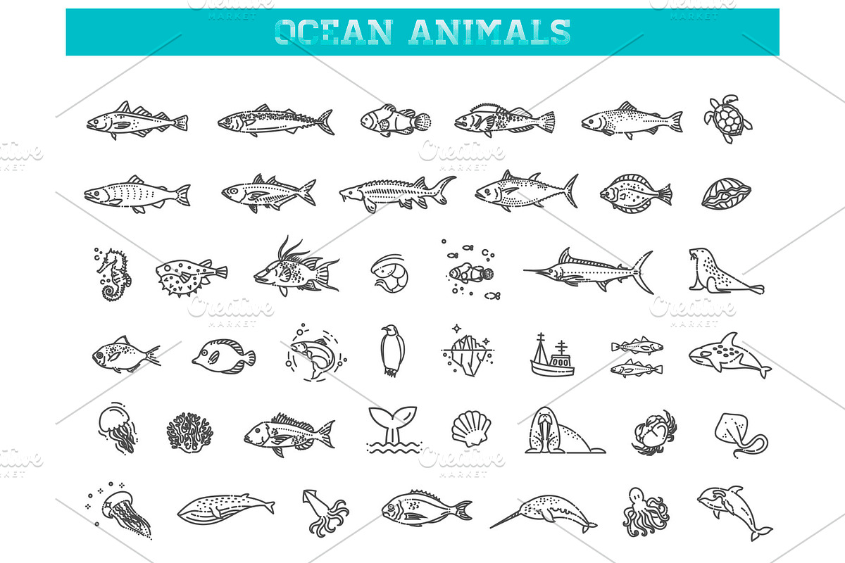 Ocean Life. Underwater Fauna Icons, an Animal Illustration by Tettygreen (Photo 1 of 3)