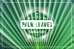 11 Palm Leaves Textures