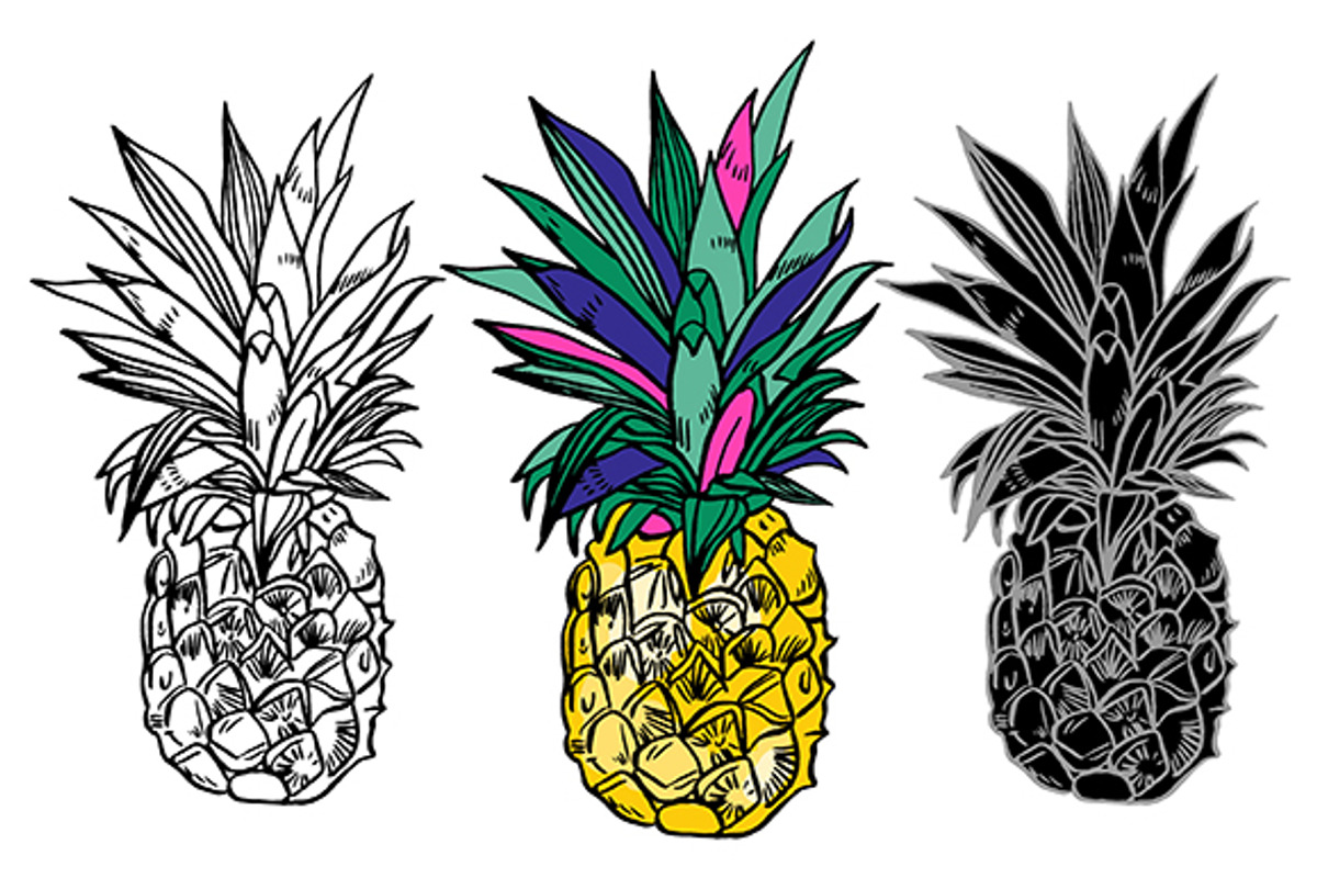 PINEAPPLE SET, a Decorative Illustration by Tanya Akhmett (Photo 2 of 9)